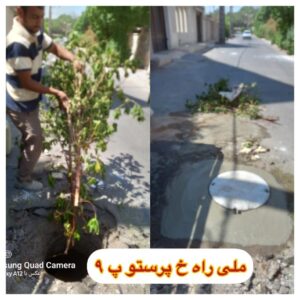 گزارش تصویری|تلاش شبانه روزی نیروهای عملیاتی فاضلاب آبفا اهواز